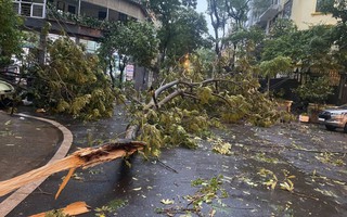 Mưa to, gió lớn ở Hà Nội và nhiều địa phương phía Bắc có phải do ảnh hưởng bão số 3?