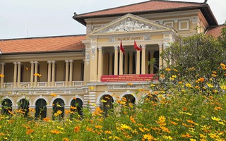 Chi tiết hoạt động của bộ máy toà án tại TP HCM sau tái cơ cấu