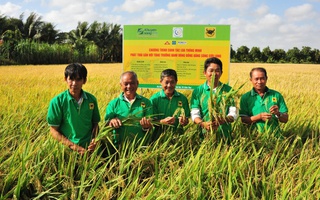 Ưu tiên ứng dụng Công nghệ sinh học trong đổi mới mô hình tăng trưởng