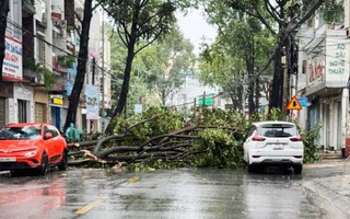 Hình ảnh và clip gió "thổi bay” cây cối, mái nhà ở Đồng Nai, nhiều người hoảng loạn 