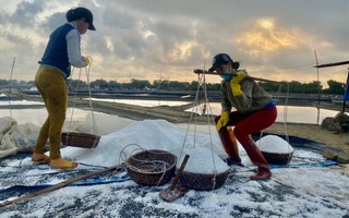 Một mùa muối thất thu ở Gia Lai