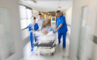Trèo cây cao cắt tỉa cành tránh bão số 3 Wipha, cụ ông 71 tuổi trượt ngã trọng thương