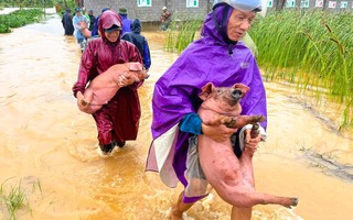 Thanh Hóa ban hành công điện khẩn sau bão số 3 Wipha