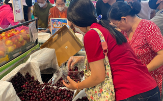 Giá cherry Mỹ bán tại TP HCM giảm chưa từng thấy