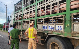 Phát hiện điều bất thường trên chiếc xe tải di chuyển qua xã Tuy Phước lúc rạng sáng