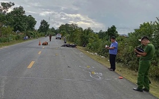 Tông vào con bò rồi tử vong, ai chịu trách nhiệm?