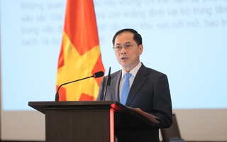 30 năm Việt Nam tham gia ASEAN - Cánh cửa đầu tiên và quan trọng nhất