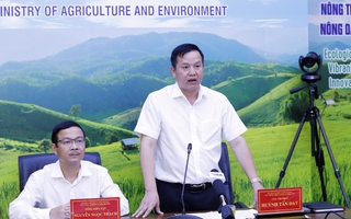 Thanh long, hồ tiêu "tắc đường" vào EU, Bộ Nông nghiệp và Môi trường họp nóng