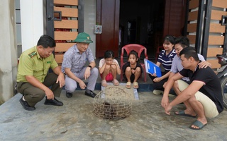 Đặt lừ trên sông, người dân bắt được con vật hiếm thấy