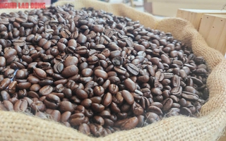 Giá cà phê hôm nay (3-7): Robusta giảm, xuất khẩu sang Mỹ tăng vọt trước giờ G