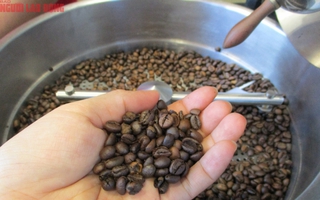 Giá cà phê hôm nay 30-7: Robusta thoát hiểm
