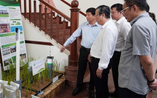 Đề xuất thí điểm 15 vùng trồng trọt phát thải thấp, giá bán tăng từ 10% - 25%