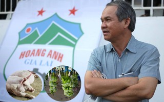 Hoàng Anh Gia Lai của Bầu Đức công bố xóa sạch lỗ