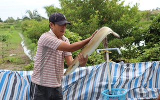 Cà Mau phê duyệt 2 dự án quan trọng