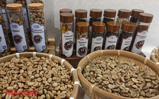 Giá cà phê hôm nay 7-7: Đã nên xả kho?