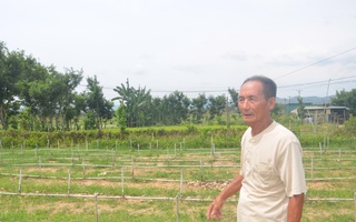 Lời hứa 15 năm