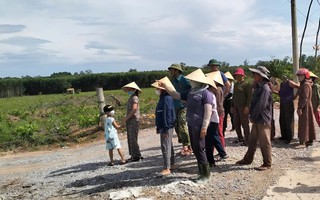 Khổ sở vì trang trại chăn nuôi heo ô nhiễm