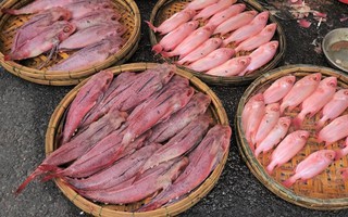 Cá "nhuộm phẩm" ở Đà Nẵng là do được rửa bằng nước ngọt có màu?