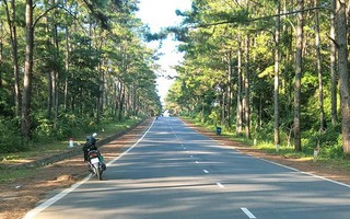 Quảng Ngãi sẵn sàng làm cao tốc, sân bay Lý Sơn, Măng Đen