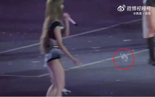 Lisa (Blackpink) bị chỉ trích vì ném Labubu người hâm mộ tặng