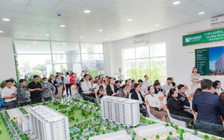 Cung - cầu căn hộ đều tăng đột biến