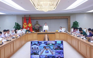 Buôn bán hải sản khai thác bất hợp pháp, doanh nghiệp chế biến, thương mại phải chịu trách nhiệm