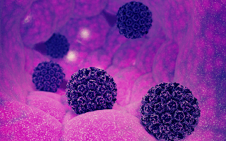 Một loại virus vừa được phát hiện có thể gây ung thư da