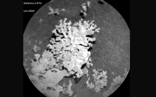 NASA phát hiện thứ giống y sinh vật Trái Đất trên Sao Hỏa