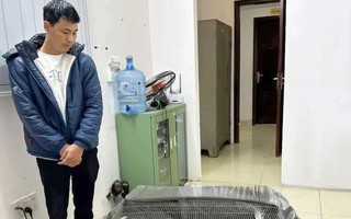 Thông tin mới vụ lĩnh 6 năm tù vì nuôi bán 13 con gà lôi trắng