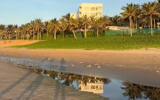 Lâm Đồng chỉ đạo khẩn xác minh vụ nước thải đen ngòm chảy ra biển Mũi Né