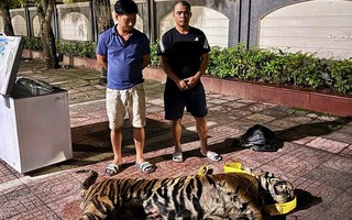 Hà Tĩnh: Triệt phá nhiều vụ buôn lậu, vận chuyển hàng cấm