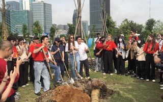 Hồ Ngọc Hà và dàn sao Việt trồng cây lúc bình minh