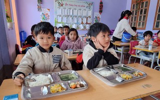 Nâng tầm vóc người Việt nhờ dinh dưỡng học đường