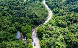 Khách du lịch mất tích nhiều ngày trong rừng Cúc Phương