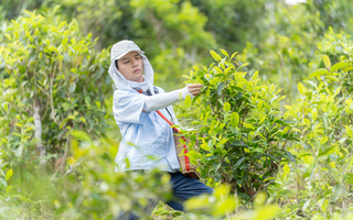 Diễn viên DUY KHÁNH: Tôi đang gặt quả ngọt