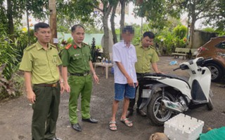 Khởi tố 3 đối tượng mua bán cá thể tê tê nguy cấp