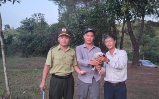 Bắt được gà lôi trắng ở Hồ Thủy Tiên, nam thanh niên lập tức có hành động này