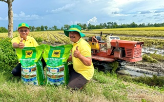 Đầu Trâu Bio-Canxi: Một giải pháp phân bón mới cho canh tác lúa gạo bền vững và giảm phát thải