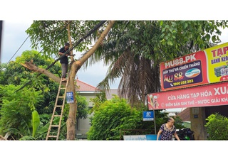 Hà Tĩnh - Quảng Trị: Tập trung di dời dân trước bão số 5