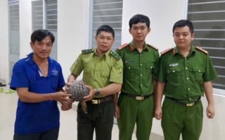 Bắt được loài động vật quý hiếm, người đàn ông ở Tây Ninh liền giao cho công an