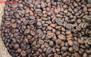 Giá cà phê hôm nay 27-8: Robusta tăng 5 phiên liên tục, cà phê Việt giảm thị phần tại Nhật