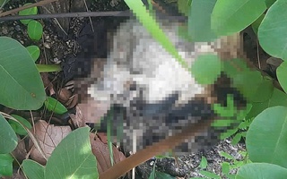 Phát hiện bộ xương người trên núi tại Gia Lai: Đã có người thân đến nhận