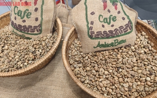 Giá cà phê hôm nay 28-8: Khó tin, Robusta tăng mạnh phiên thứ 6 liên tiếp