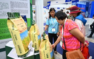 Chủ động xây dựng "hộ chiếu xanh"