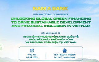 Khai mở thị trường vốn xanh quốc tế: cơ hội và thách thức nào cho Việt Nam?