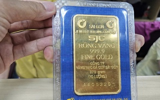 Giá vàng miếng SJC tiếp tục lập đỉnh mới trong sáng 28-8