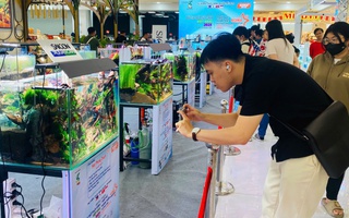 Lần đầu chiêm ngưỡng "ngón nghề" thủy sinh của các cao thủ thế giới