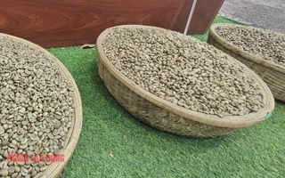 Giá cà phê hôm nay 5-8: Sắp vượt 100.000 đồng/kg, xuất khẩu lập kỷ lục
