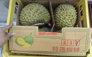 Sầu riêng quay đầu từ Trung Quốc sẽ phải kiểm vàng O trước khi tiêu thụ