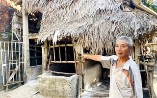 Chưa dập xong dịch tả heo, lại bùng phát dịch trâu bò ở Quảng Trị